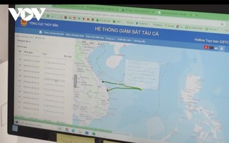 Quang Ngai fishermen adopt technology, say no to IUU fishing