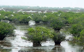 Xuan Thuy National Park recognized as ASEAN Heritage Park