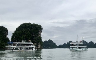 Ciudad de Ha Long reanuda actividad turística tras paso de Yagi