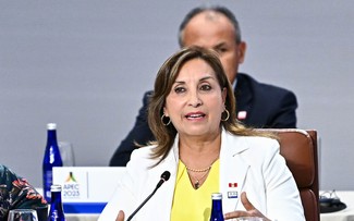 Presidenta de Perú pide al Congreso aprobar la ley que tipifica el terrorismo urbano