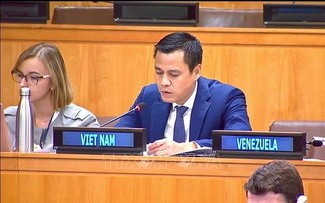 Diplomático vietnamita destaca la promoción y protección de los derechos humanos  