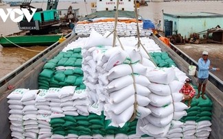 Vietnam ocupa el tercer lugar en el mundo en exportación de arroz