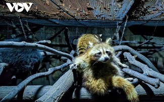 “Único y fascinante” tour nocturno en el Zoológico y Jardín Botánico de Saigón
