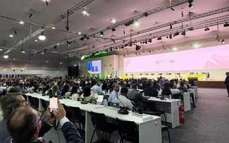 Cumbre COP30: el desafío global de reducir emisiones y reforzar la cooperación climática