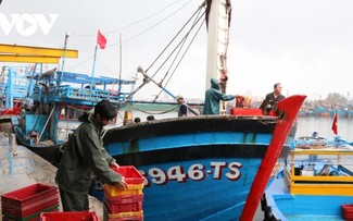 Vietnam avanza hacia una pesca sostenible