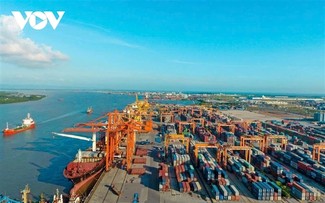 Actividad portuaria de Vietnam registra un fuerte crecimiento