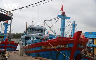 Animada temporada de pesca de fin de año