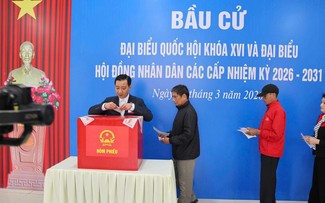 Electores de la zona especial de Bach Long Vi participan con entusiasmo en la votación anticipada