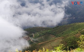 สวรรค์เหนือม่านหมอก ต่าสั่ว – จุดหมายปลายทางระดับโลกปี 2026