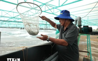 Ba Ria – Vung Tau fördert die digitale Transformation in der landwirtschaftlichen Entwicklung