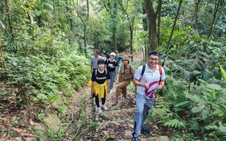 Trekking am Tam-Dao-Osthang: Unberührte Schönheit Vietnams entdeckt
