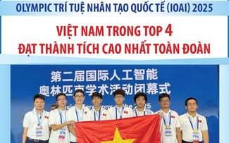 Vietnam zeigt gute Leistung bei Internationaler KI-Olympiade