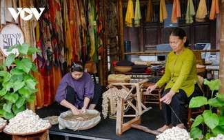 Thang Long-Hanoi-Festival 2025: Ein multikulturelles Bild im im Literaturtempel 