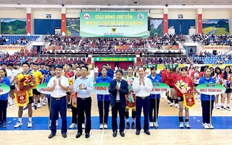 Volleyballturnier des Hoa Lu-Binh Dien-Pokals 2026 