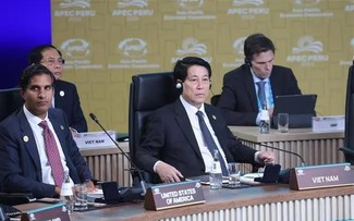 Vietnamese State President’s speech at 31st APEC Economic Leaders' Meeting