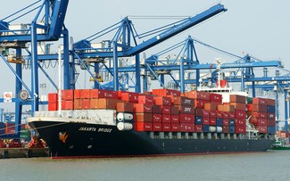 Vietnam's import-export revenue hits record high of nearly 800 billion USD