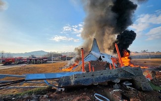 At least 85 dead in fiery South Korea airliner crash