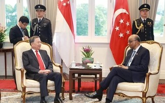 Vietnam, Singapore discuss implementing newly-established Comprehensive Strategic Partnership