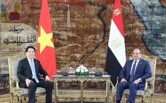 Vietnam, Egypt elevate ties to Comprehensive Partnership 