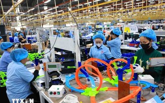 Vietnam remains bright spot for FDI inflows: Sputnik