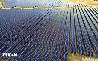 Vietnam has strong foundations for energy and fuel self-reliance: Australian expert