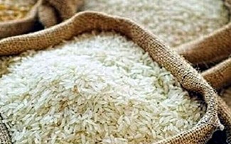 ​ສະ​ພາບ​ການ​ສົ່ງ​ອອກ​ເຂົ້າ​ສານ​ຂອງ ຫວຽດ​ນາມ ​ໃນ​ປີ 2025