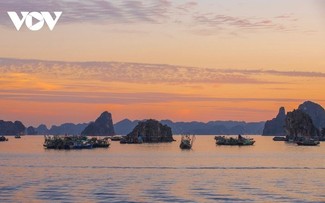 WTA: ຫວຽດນາມ ແມ່ນຈຸດນັດພົບແຖວໜ້າໂລກປີ 2025