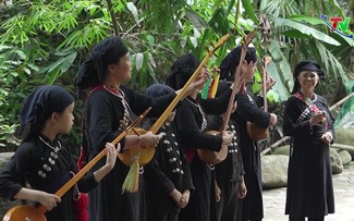 ຮັກສາ ແລະ ຖ່າຍທອດຂັບແທນ ຢູ່ແຂວງ ຖາຍງວຽນ.