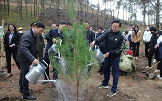 Lancement de la campagne de plantation d’arbres à Uông Bi