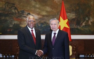 Le secrétaire général Tô Lâm s'entretient avec le vice-président cubain Salvador Valdés Mesa