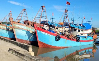 La lutte contre la pêche illicite: des résultats positifs à Dông Thap