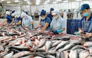 Le secteur de la pêche vise 11 milliards de dollars d’exportations