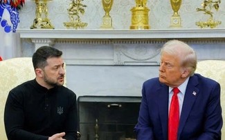 Ukraine: Donald Trump et Volodymyr Zelensky assurent avoir fait de nombreux progrès pour mettre fin au conflit
