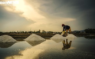 Những người 'cõng nắng' trên cánh đồng muối trắng tại Bình Định