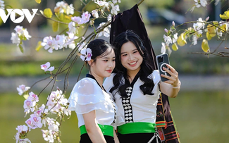 Hoa ban rực rỡ núi rừng, gọi mời du khách đến với Lễ hội hoa ban Điện Biên 2026