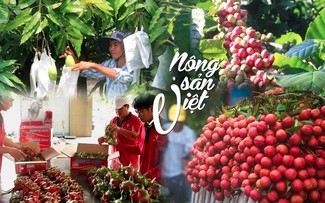 Les producteurs agricoles vietnamiens s’adaptent aux normes européennes