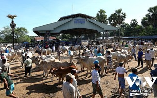 Le marché bovin de Tà Ngao