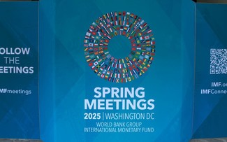 Réunions de Printemps du FMI et de la BM: Enjeux et perspectives pour l’économie mondiale