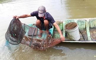Les exportations de crevettes en hausse de 37% au premier trimestre