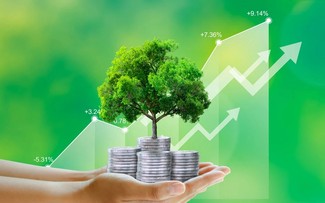 Vers un Vietnam vert: l’ambition d’un nouveau cycle de croissance