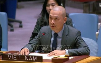 Le Vietnam favorable à une réforme en profondeur du Conseil de sécurité de l’ONU