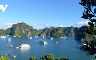 Starlink installera 10 émetteurs en baie d’Ha Long