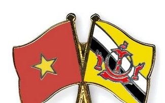 Việt Nam – Brunei  tăng cường hợp tác trên các lĩnh vực quan trọng