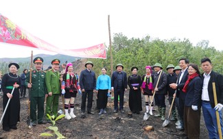 Các địa phương phát động Tết trồng cây Xuân Ất Tỵ 2025