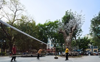 Họa sĩ, nhà thiết kế Tia Thủy Nguyễn và tác phẩm nghệ thuật “Hồi sinh” 