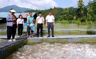 Vốn chính sách – chìa khóa mở lối thoát nghèo ở Thái Nguyên