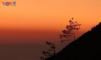 ແດນສະຫວັນເມກ ຕ່າຊົວ - ຈຸດນັດພົບທົ່ວໂລກ 2026