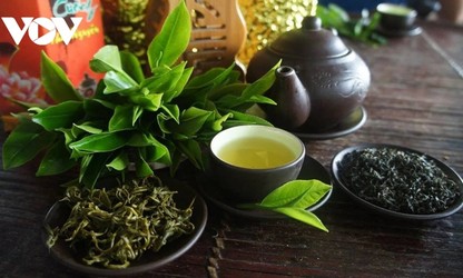 Produk-Produk Teh OCOP dari Provinsi Thai Nguyen