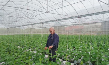 Hung Yen's circular farming models pave the way for sustainable agriculture