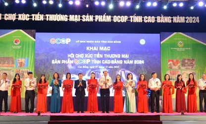 Xúc tiến thương mại, quảng bá sản phẩm OCOP 